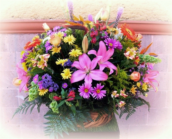 Imagen de MIXTO PRIMAVERAL REDONDO