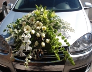 Imagen de Arreglos en la parte frontal del auto.