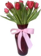 Imagen de Nuevo Cielo Rojo