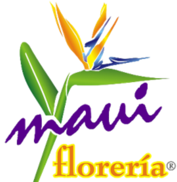 Imagen de Canasta con plantas y flores naturales